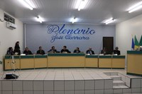 Vereadores de Nova Santa Helena se mobilizam para ida à Brasília garantir emendas parlamentares para o município no ano que vem