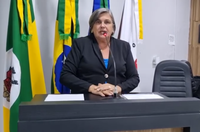 Vereadora Luzia pede na Câmara de Nova Santa Helena que Prefeitura realize limpeza de locais públicos com retirada de matagal